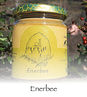 enerbee