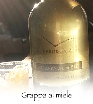 grappa HP