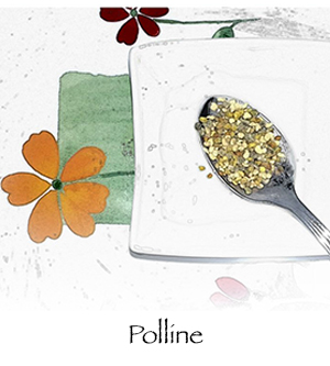 polline HP